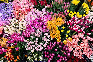 庆NS2版马车发售 《马里奥赛车：巡回赛》迎来新活动